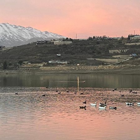 The Bus Daire Majdal Shams Dış mekan fotoğraf